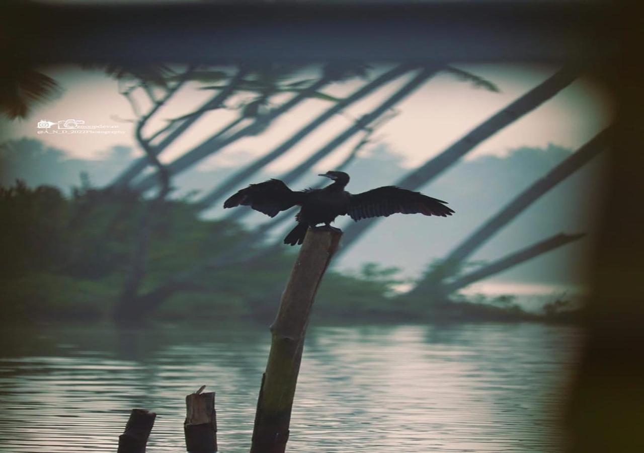 Lake Homes Varkala Bagian luar foto