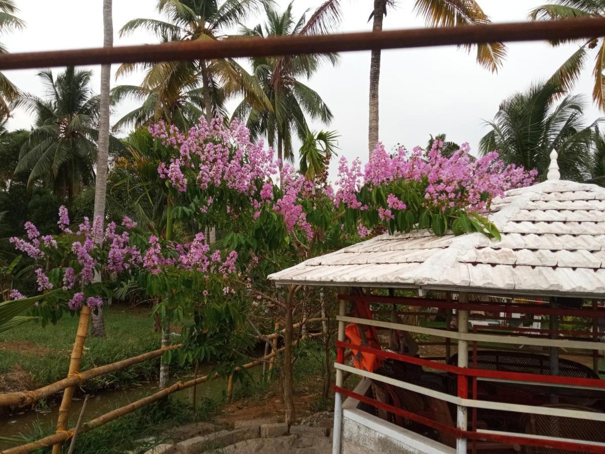 Lake Homes Varkala Bagian luar foto